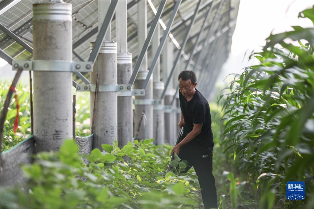 最新老虎机论坛